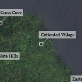 Cottontail village